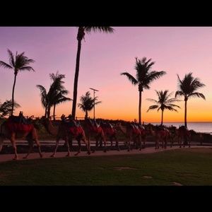 Meet your Posher, Annie